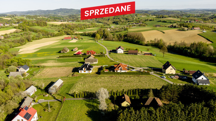 Działka Sprzedaż Lichwin 5