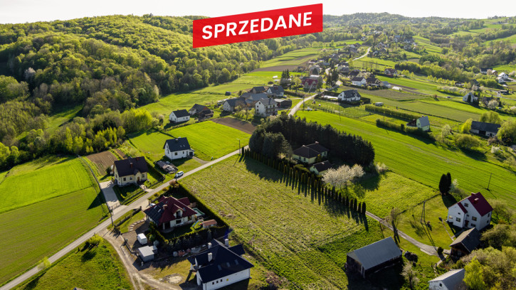 Działka Sprzedaż Lichwin 3