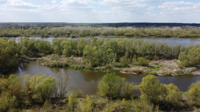 Dom Sprzedaż Zakrzów