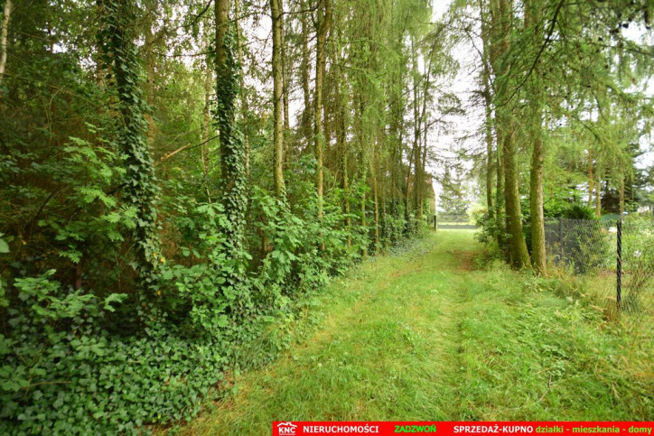 Dom Sprzedaż Nowy Orzechów 10