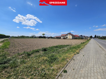 Działka Sprzedaż Biała