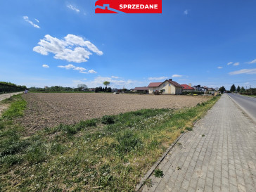 Działka Sprzedaż Biała