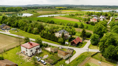 Działka Sprzedaż Sieciechowice