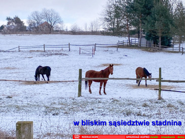 Dom Sprzedaż Siedliska Pierwsze