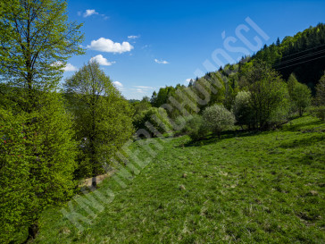 Działka Sprzedaż Krzeszów