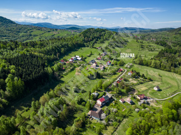 Działka Sprzedaż Krzeszów