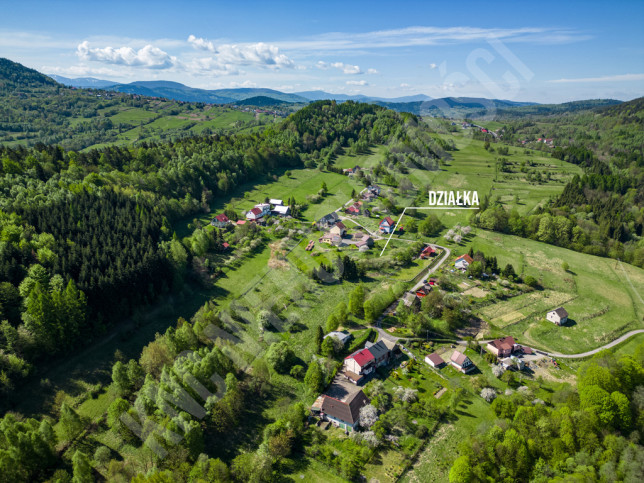 Działka Sprzedaż Krzeszów 3