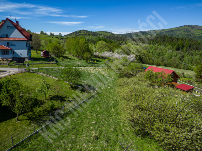 Działka Sprzedaż Krzeszów 6