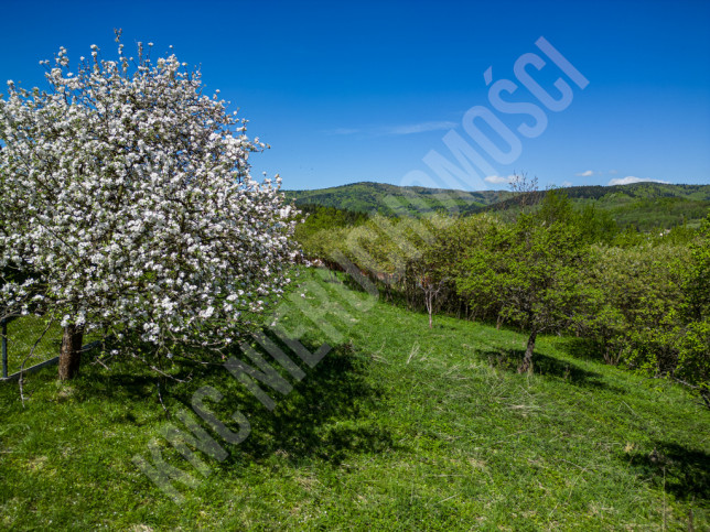 Działka Sprzedaż Krzeszów 7