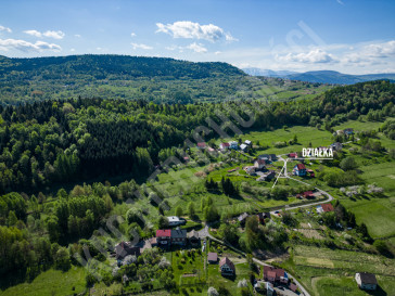 Działka Sprzedaż Krzeszów