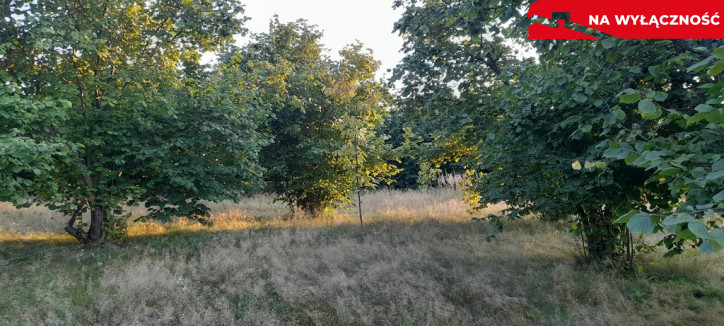 Działka Sprzedaż Lublin Głusk 2