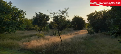 Działka Sprzedaż Lublin Głusk