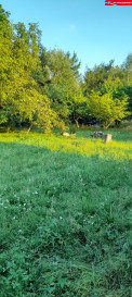 Działka Sprzedaż Lublin Głusk