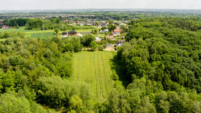 Działka Sprzedaż Zgłobice Jałowcowa