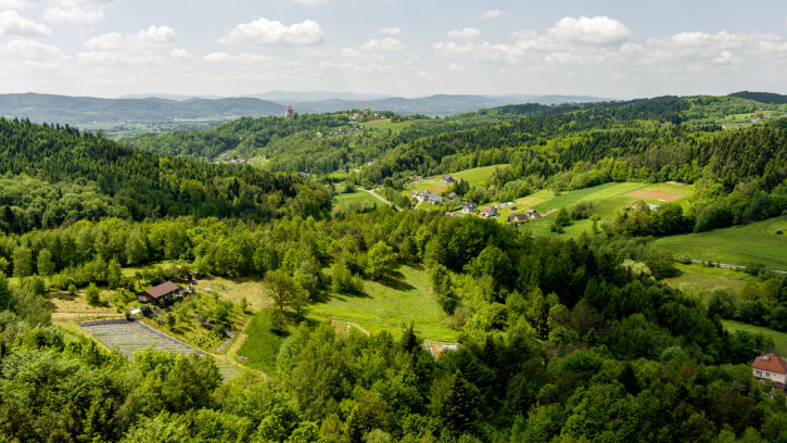 Dom Sprzedaż Gwoździec 19