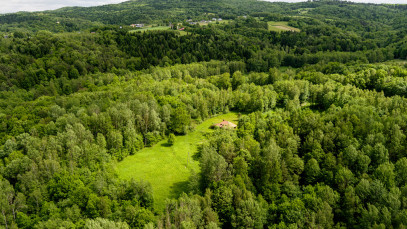 Dom Sprzedaż Joniny