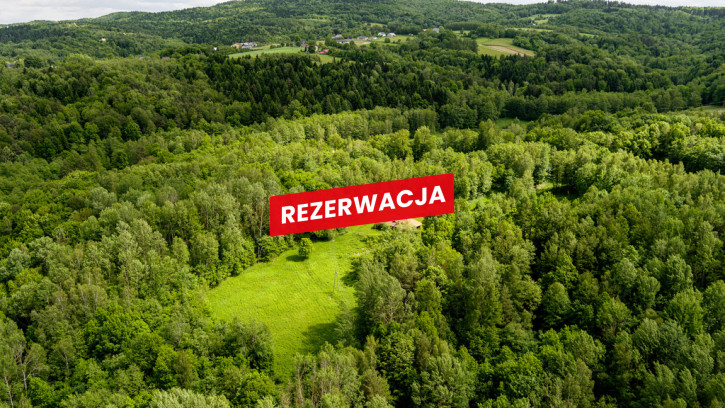 Dom Sprzedaż Joniny 28