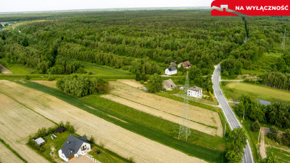 Działka Sprzedaż Borzęcin