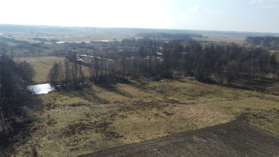 Działka Sprzedaż Żminne
