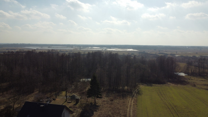Działka Sprzedaż Żminne 4