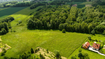 Działka Sprzedaż Wojnicz