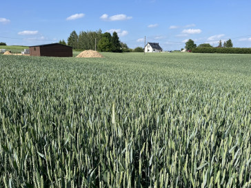 Działka Sprzedaż Jastków