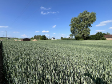 Działka Sprzedaż Jastków