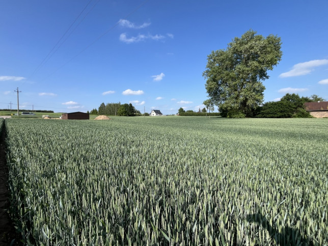 Działka Sprzedaż Jastków 3