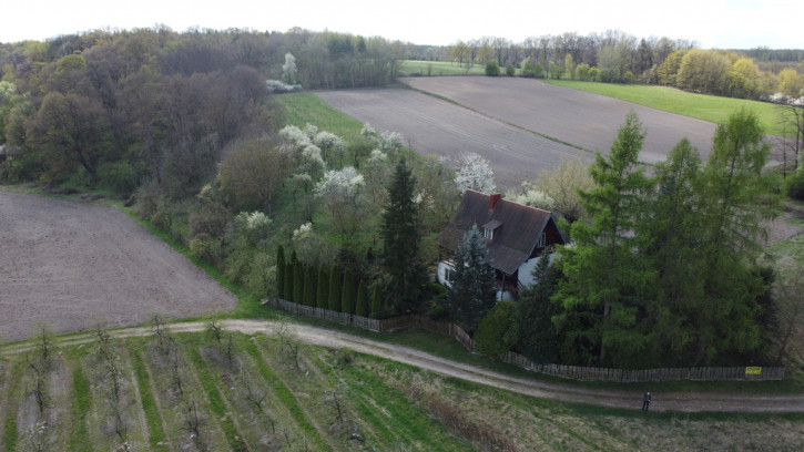 Dom Sprzedaż Boiska-Kolonia 19