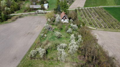 Dom Sprzedaż Boiska-Kolonia