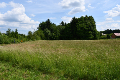 Działka Sprzedaż Dylągówka
