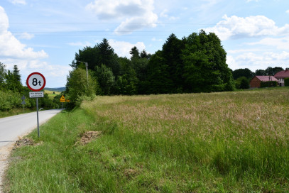 Działka Sprzedaż Dylągówka