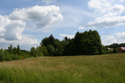 Działka Sprzedaż Dylągówka