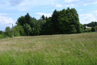 Działka Sprzedaż Dylągówka