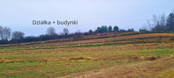 Działka Sprzedaż Wysokie 1