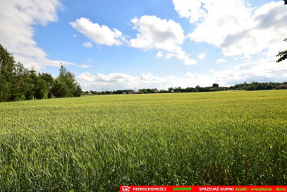 Działka Sprzedaż Charlęż