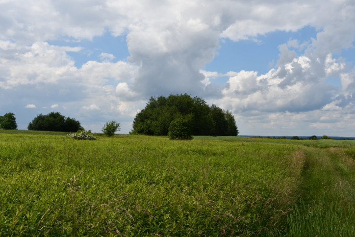 Działka Sprzedaż Krasne 4