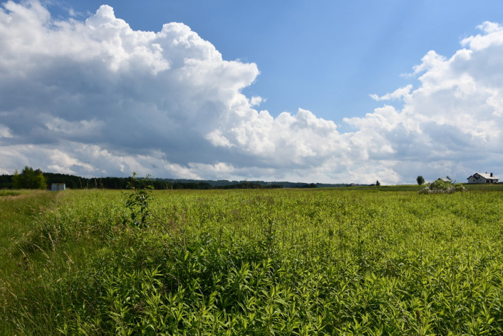 Działka Sprzedaż Krasne 5