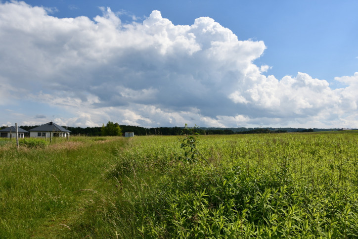 Działka Sprzedaż Krasne 1