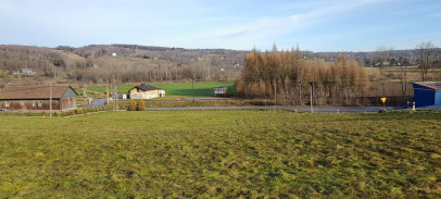 Działka Sprzedaż Łowczów