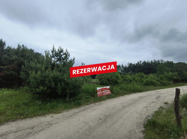Działka Sprzedaż Żdżary 3