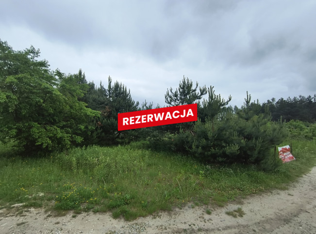 Działka Sprzedaż Żdżary 4