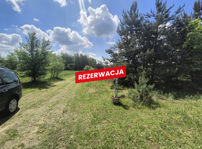 Działka Sprzedaż Żdżary 3
