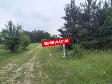 Działka Sprzedaż Żdżary