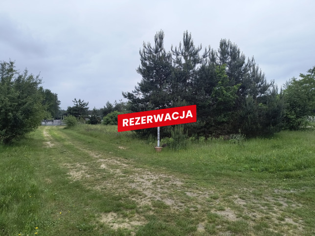 Działka Sprzedaż Żdżary 6