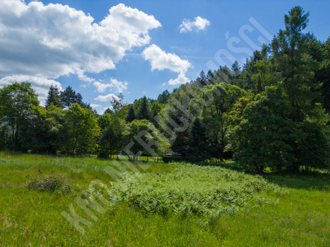 Działka Sprzedaż Targoszów 7