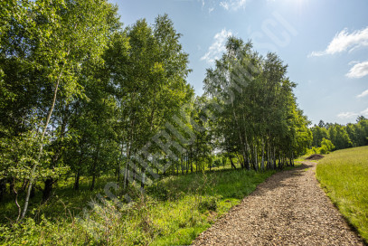 Działka Sprzedaż Lachowice