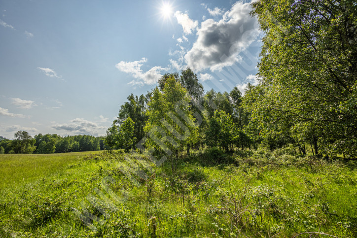 Działka Sprzedaż Lachowice 16