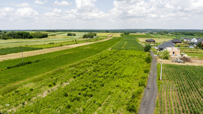Działka Sprzedaż Lisia Góra