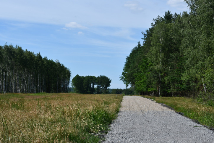 Działka Sprzedaż Widełka 12